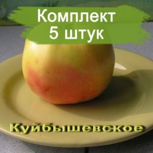 Комплект 5шт / Яблоня Куйбышевское